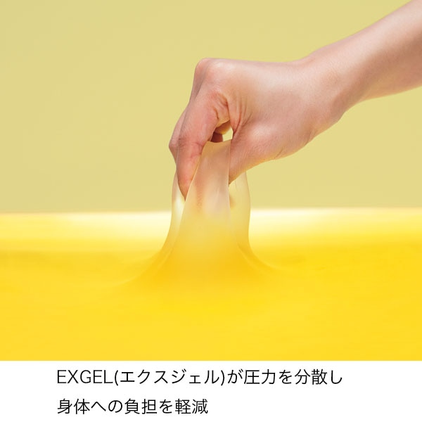 エクスジェル (EXGEL) 浴室床マット 小 AFK-21